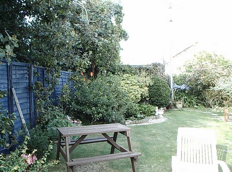 Back Garden